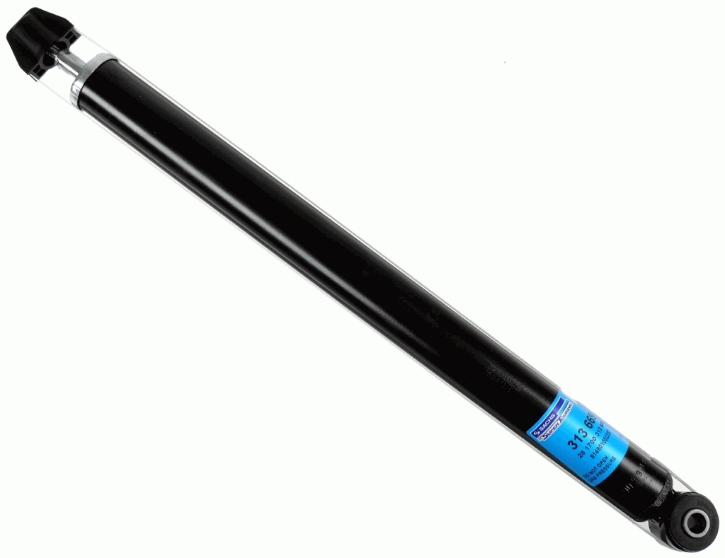 SACHS 313669