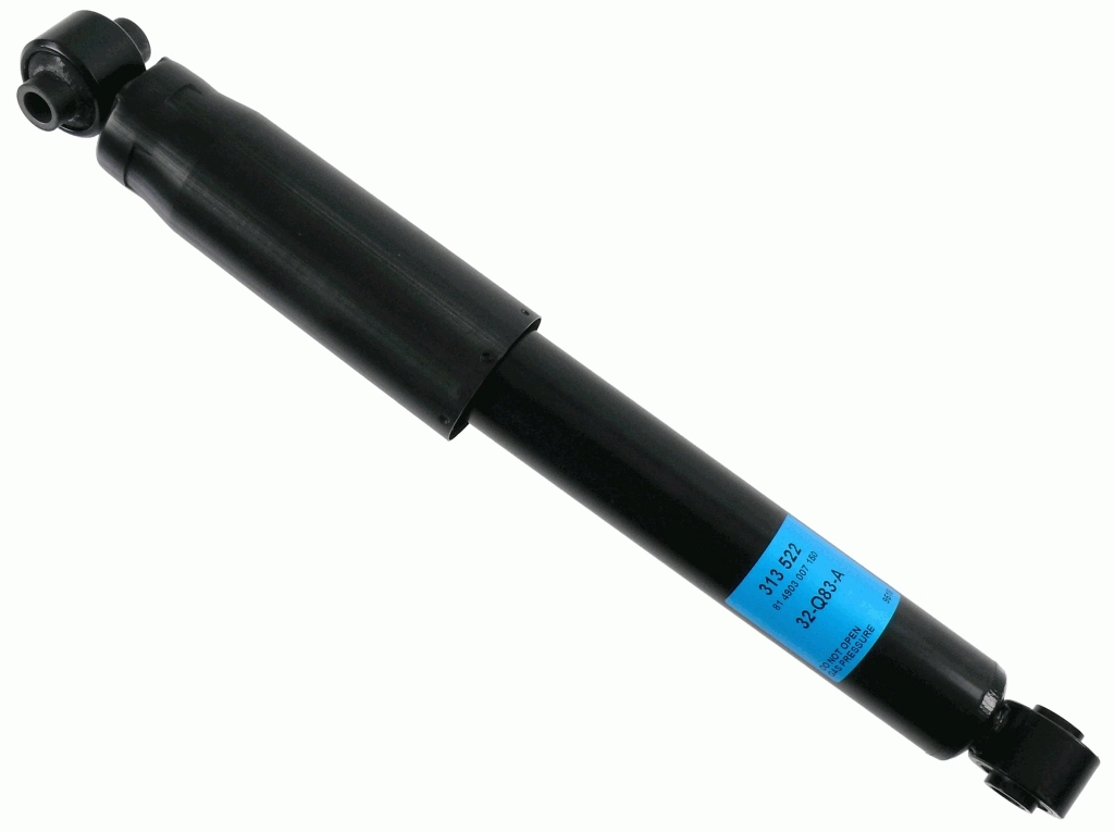 SACHS 313522