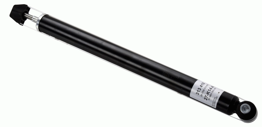 SACHS 313419