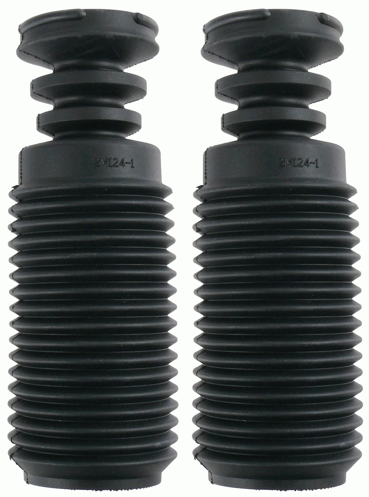 SACHS 900173