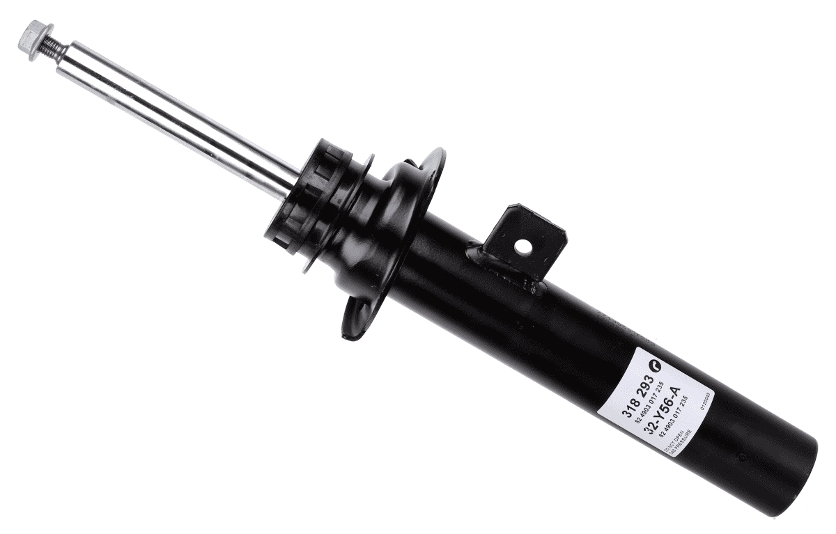 SACHS 318293