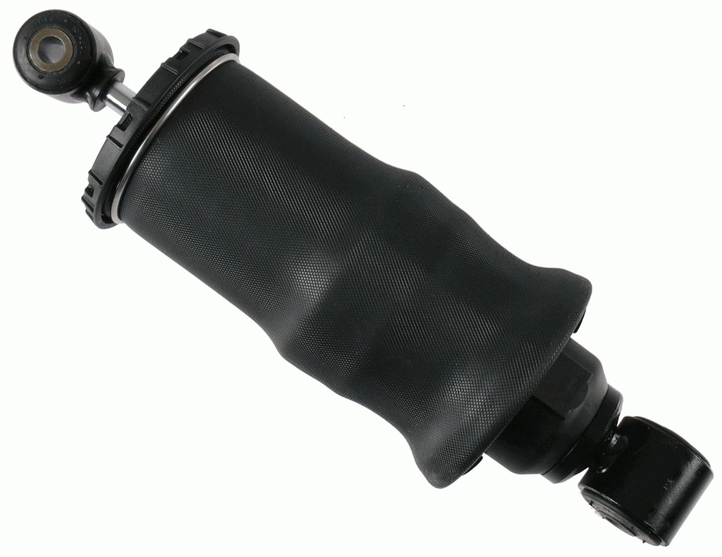 SACHS 313078