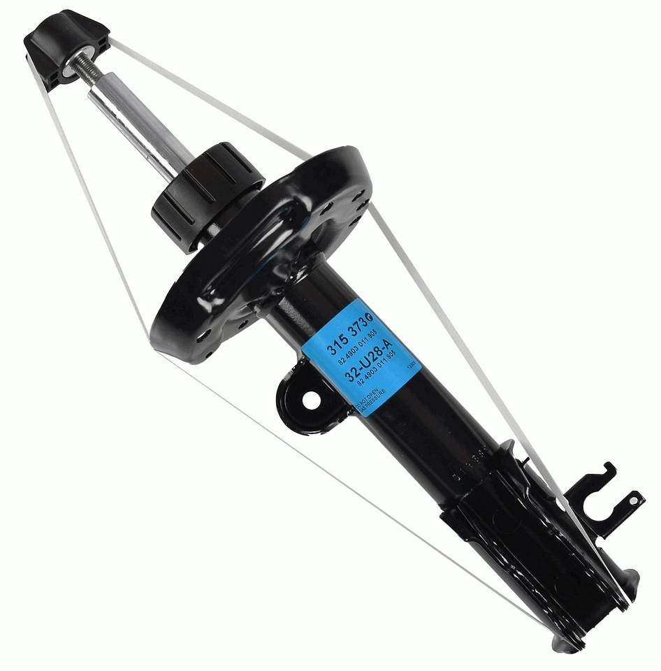 SACHS 315373