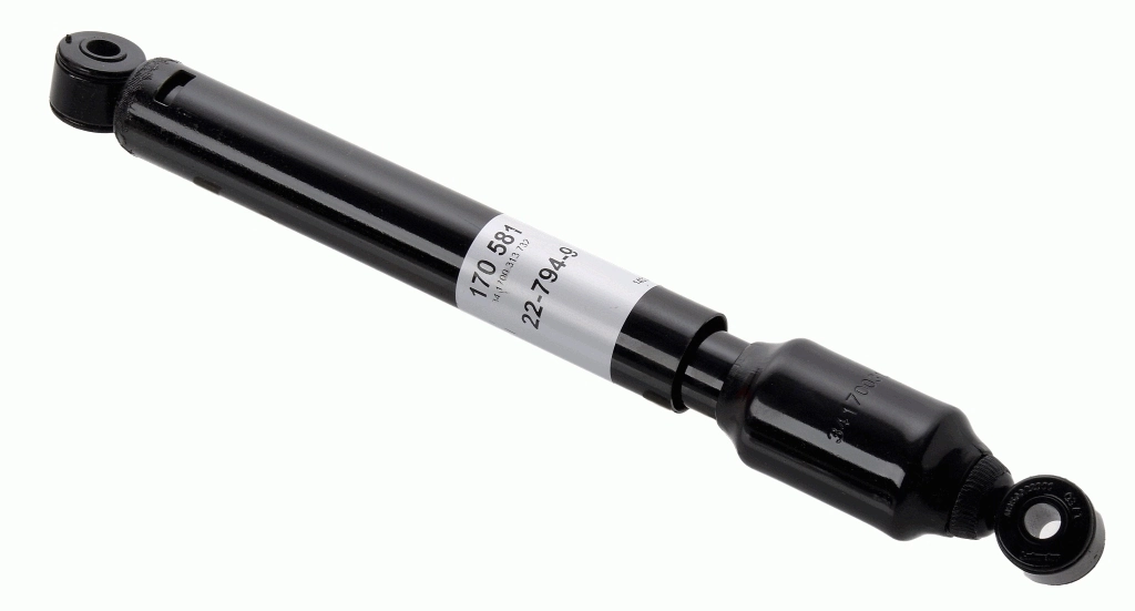 SACHS 170581
