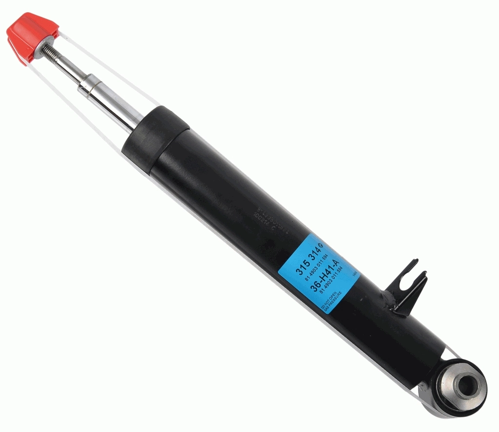 RAISO RS315316
