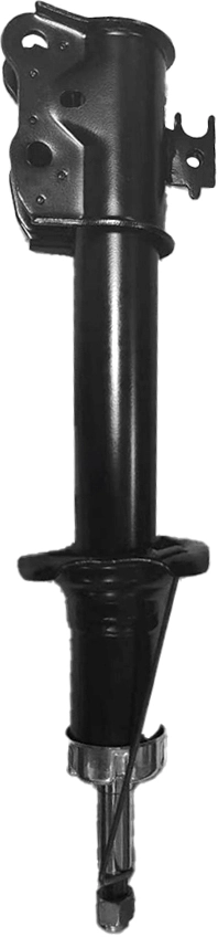 SACHS 317111