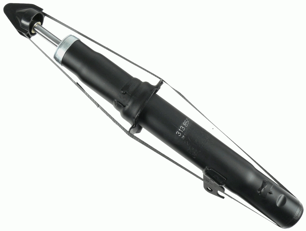 SACHS 313854