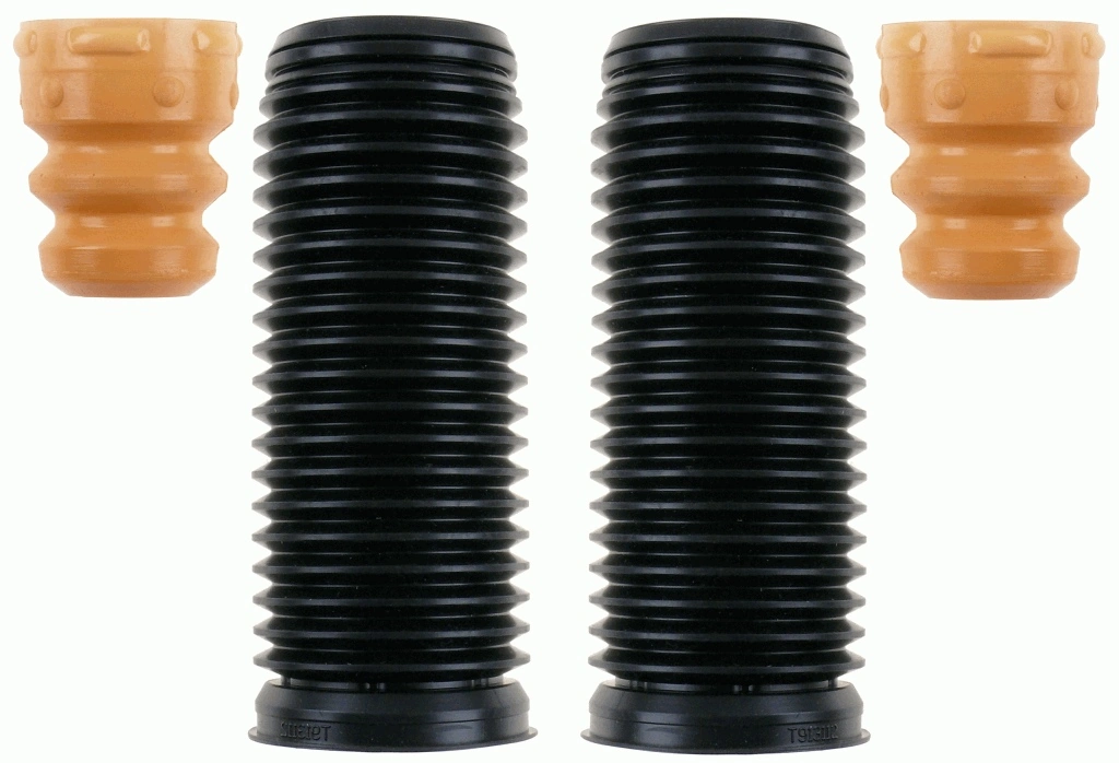 SACHS 900136