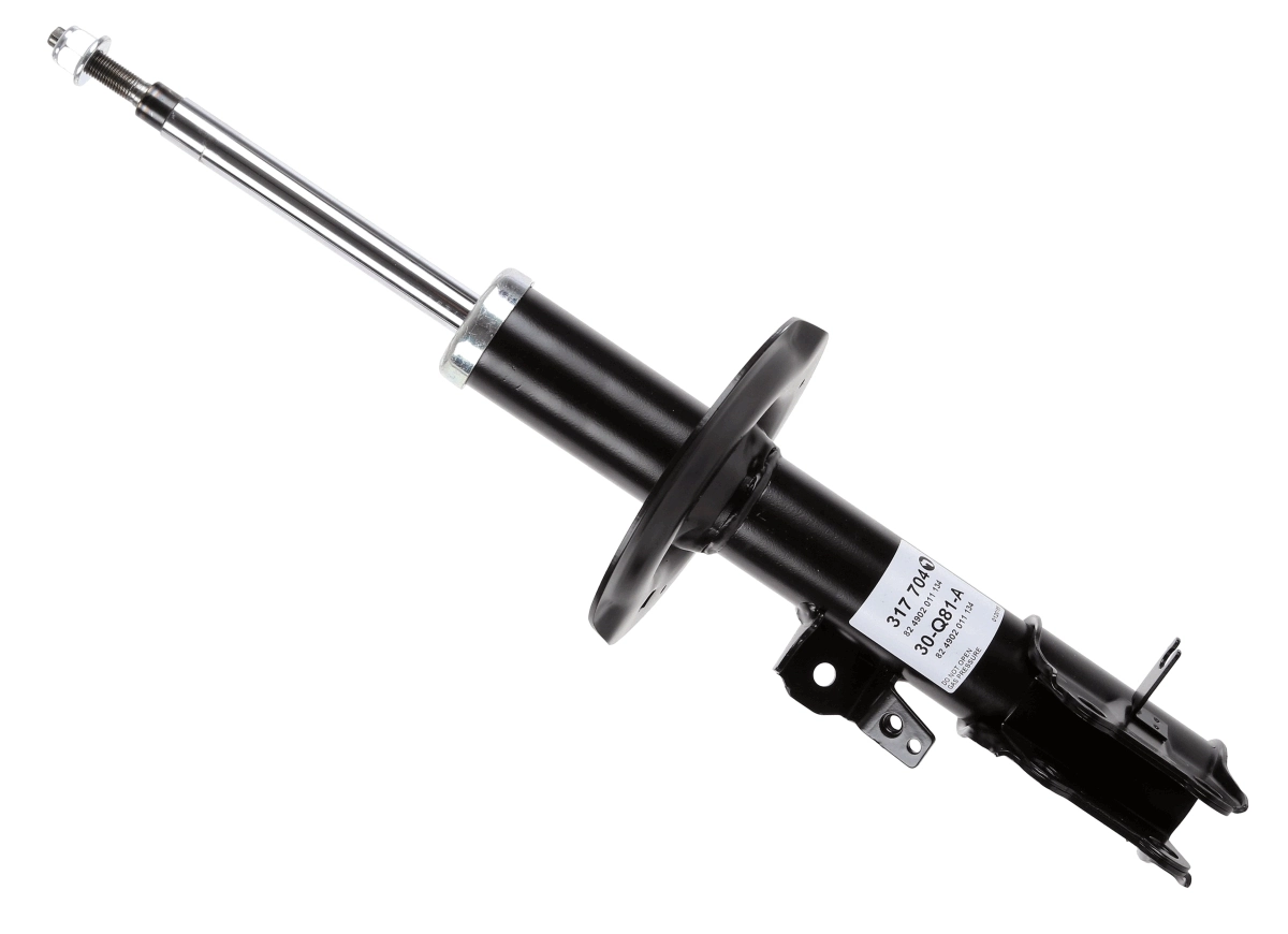 SACHS 317704
