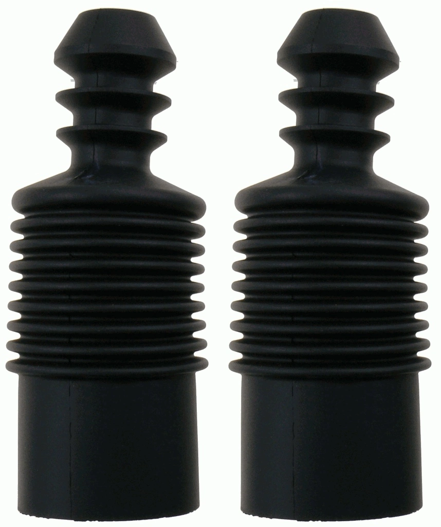 SACHS 900054