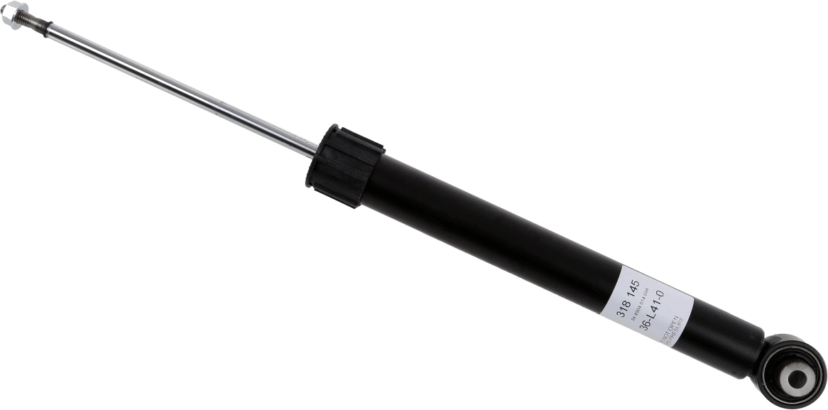 SACHS 318145