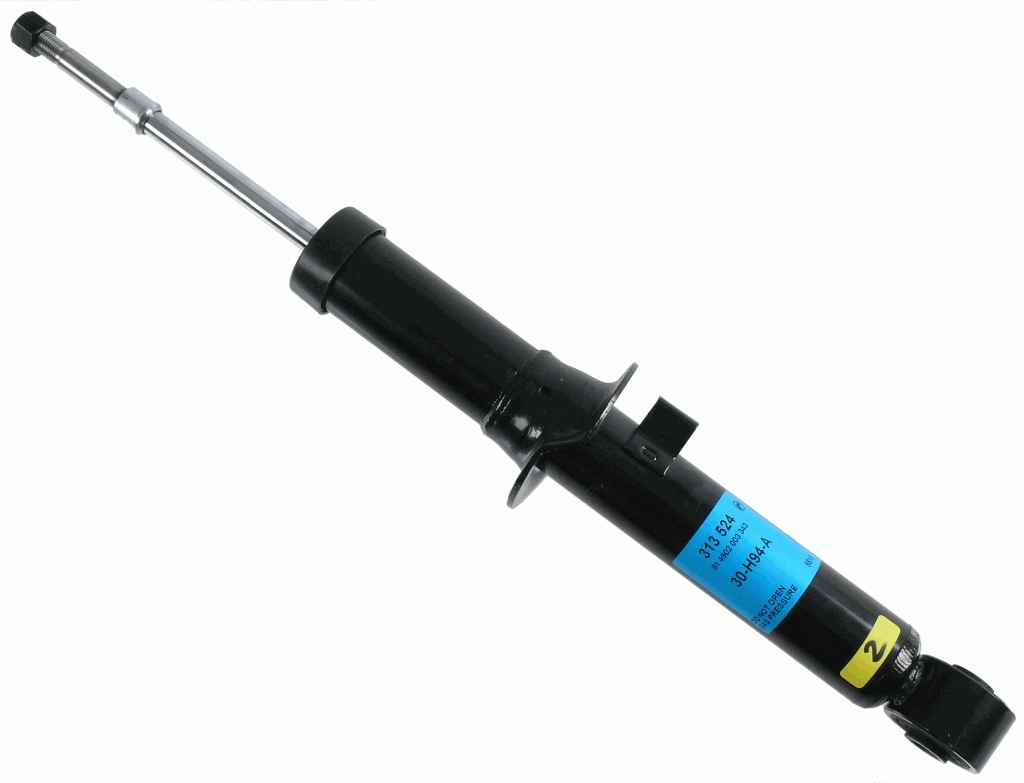 SACHS 313524