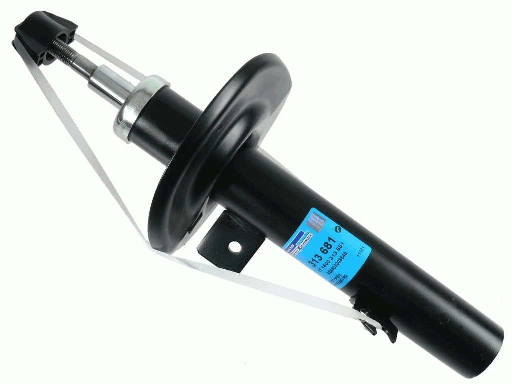 SACHS 313681