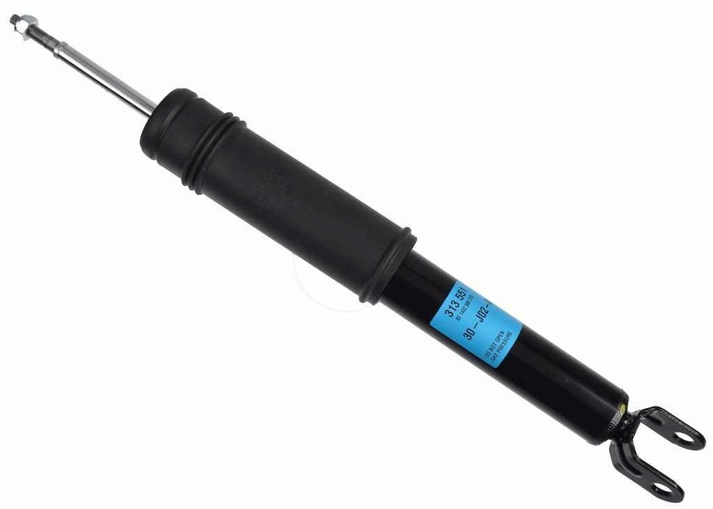 SACHS 313551
