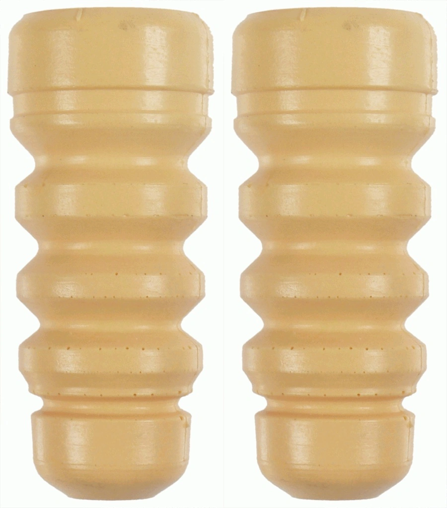 SACHS 900168