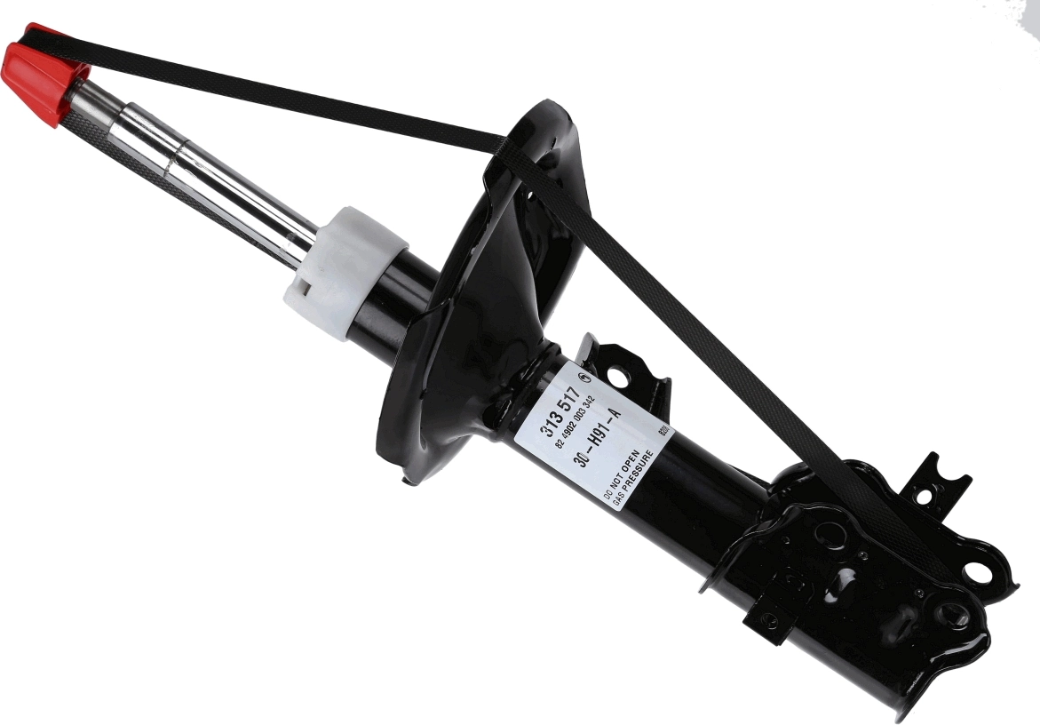 SACHS 313517