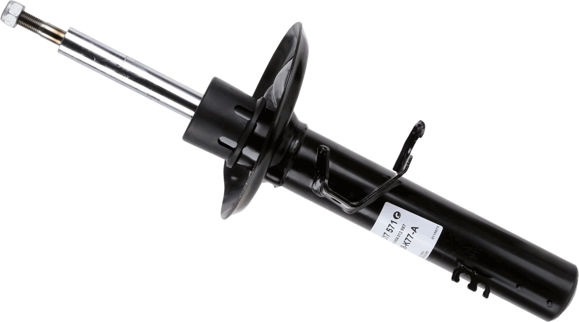 SACHS 317571