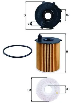 Knecht OX17116D