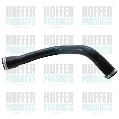 HOFFER 961006