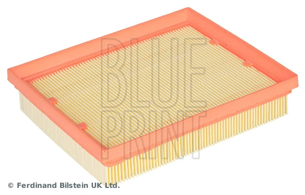 Blue Print ADBP220094