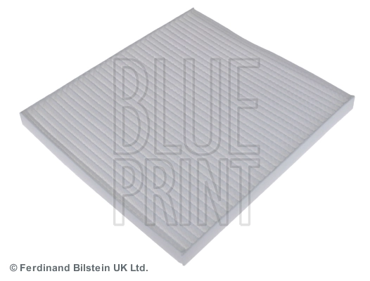 Blue Print ADG02513