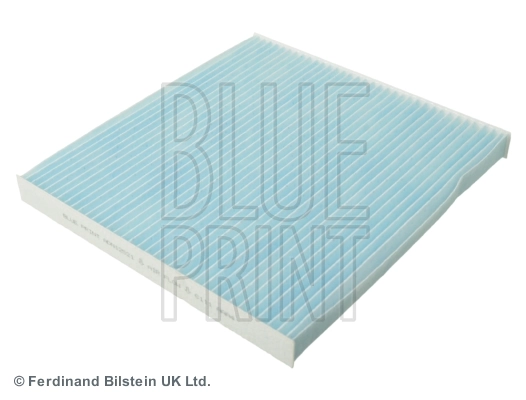 Blue Print ADN12521