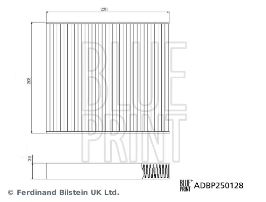 Blue Print ADBP250128