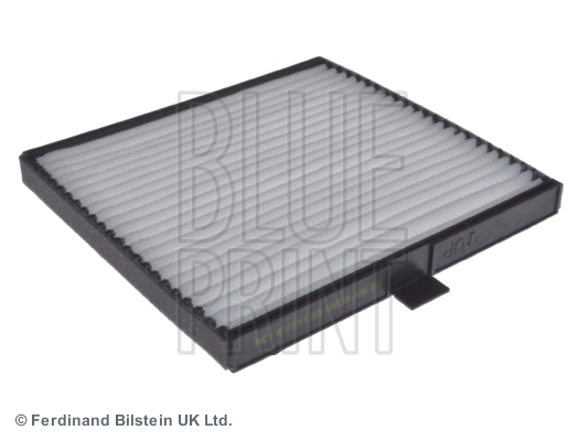 Blue Print ADG02584