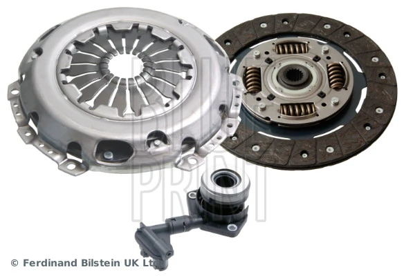 Blue Print ADF123095