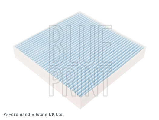 Blue Print ADG02598