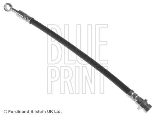 Blue Print ADG053231
