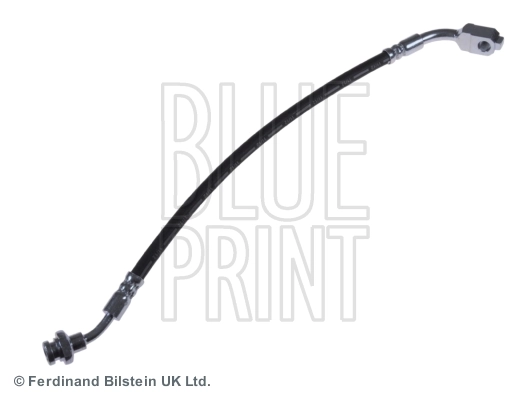 Blue Print ADN15399