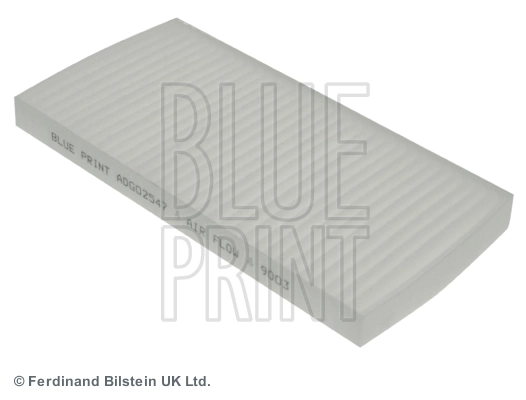 Blue Print ADG02547