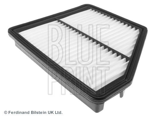 Blue Print ADG02245