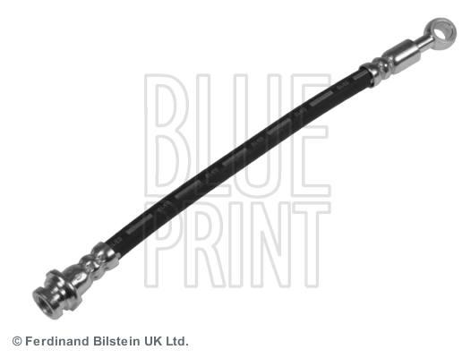 Blue Print ADN153906