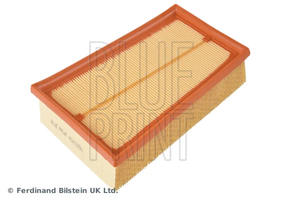 Blue Print ADN12256