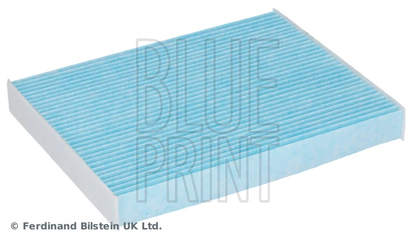 Blue Print ADG02588