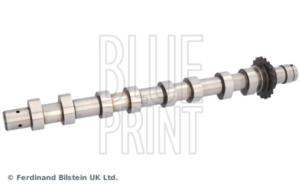 Blue Print ADBP610216