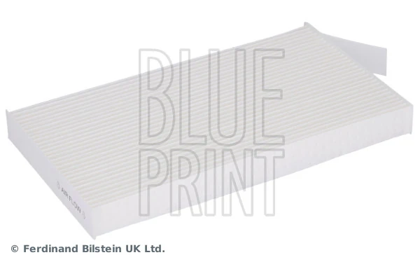 Blue Print ADN12524