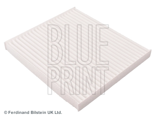Blue Print ADG02590