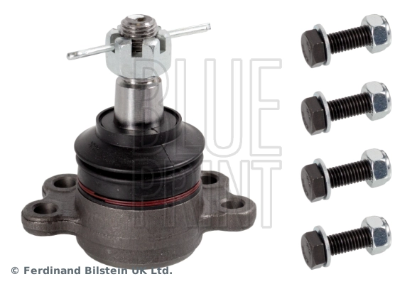 Blue Print ADZ98605