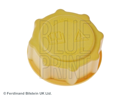 Blue Print ADG09901
