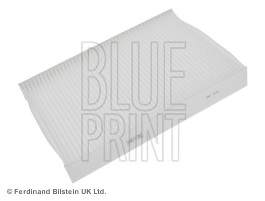 Blue Print ADN12516