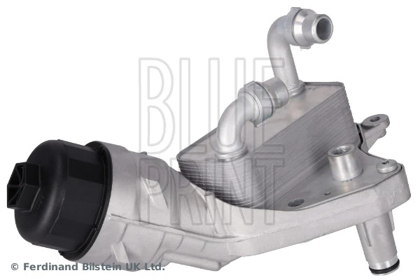 Blue Print ADBP210181