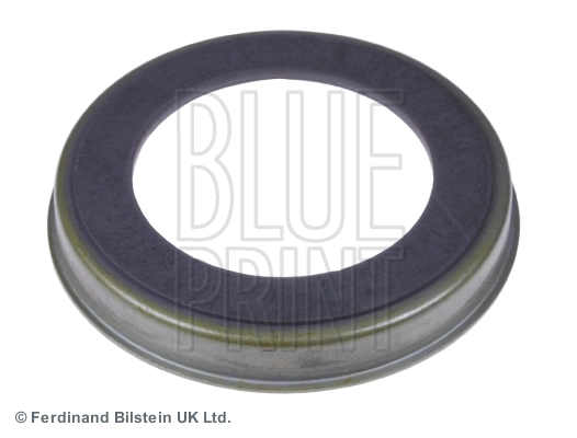 Blue Print ADM57106