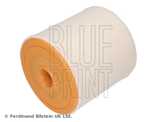 Blue Print ADBP220127