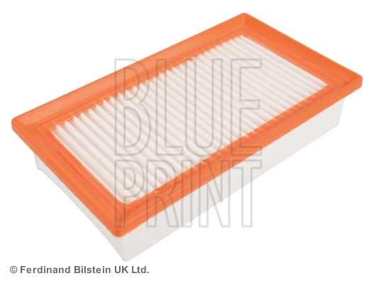 Blue Print ADG022165
