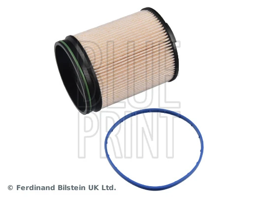 Blue Print ADBP230053