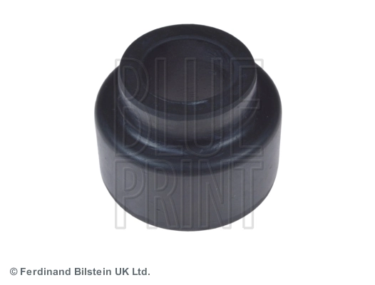 Blue Print ADJ138036