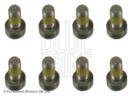 Blue Print ADF123305